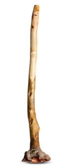 Heartland Didgeridoo (HD518)